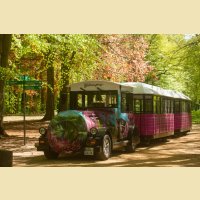 Kombi-Fahrt mit der Waldbahn & dem Kromlauer Blütenexpress