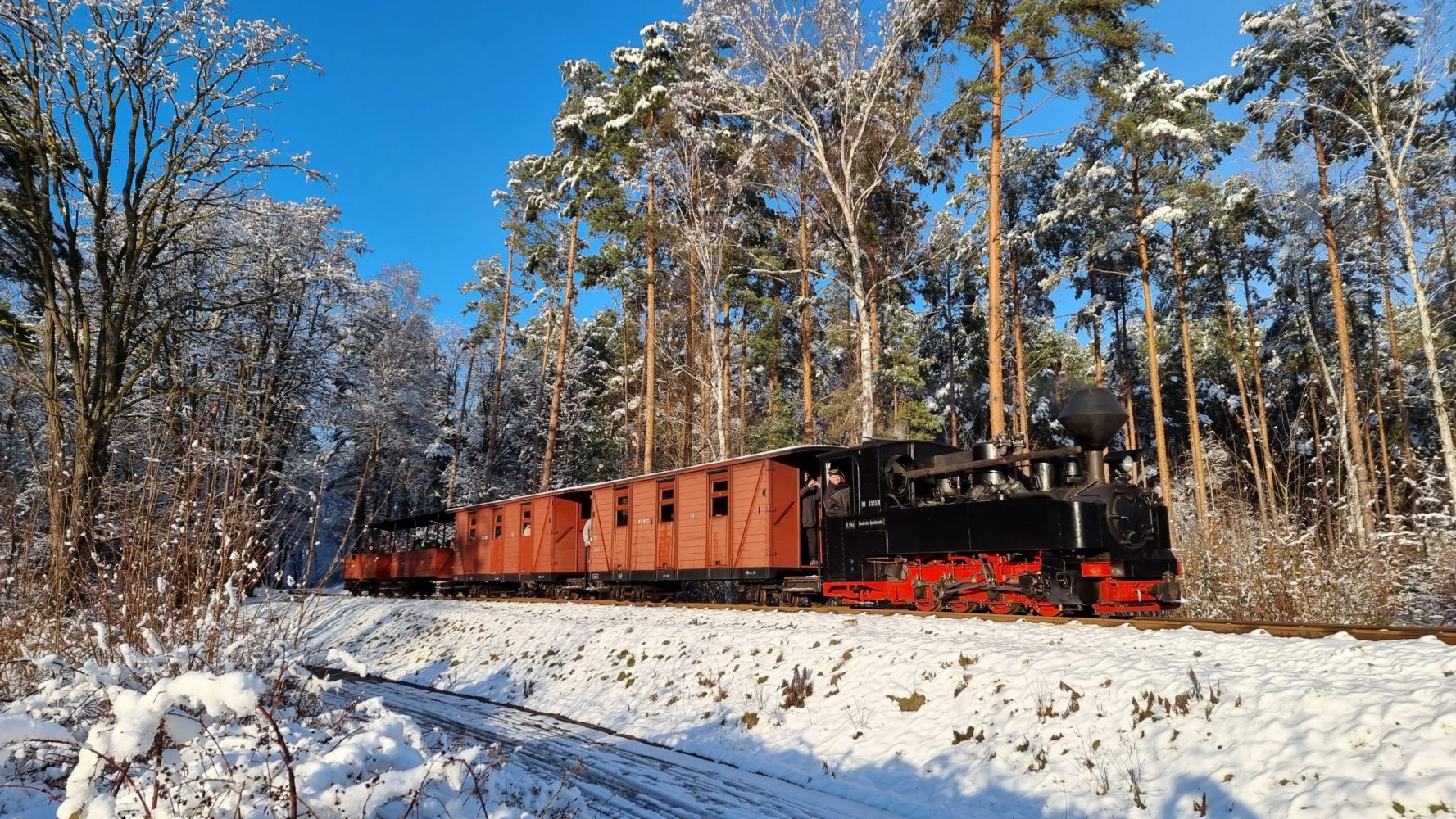 Dampfzug fährt durch den verschneiten Wald