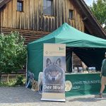 Wolf Umweltbildungsstelle