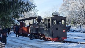 Dampflok am verschneiten Bahnhof