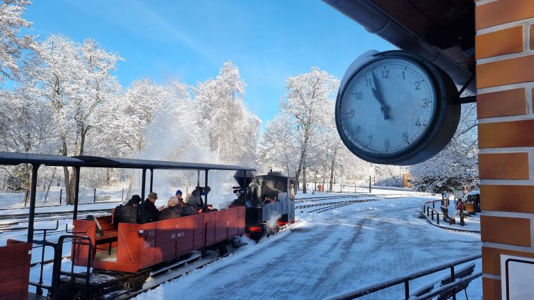 Dampf Teichstraße Winter