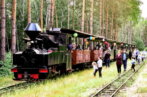 Dampfzug im Wald mit Fahrgästen innen und außen, spielende Kinder